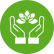 holistic icon.png