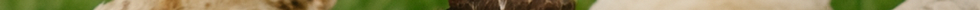 file_0000000065d471fa9f89fce3a8d5efc3 (1).png