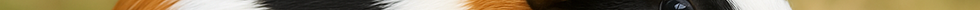 file_00000000798072078b4756001508c7ab.png