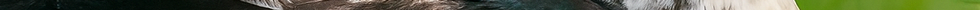 file_0000000017b8720992372f6207da114e.png