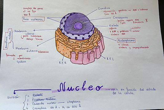Captura%20de%20pantalla%202020-01-04%201