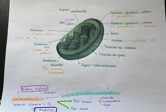 Captura%20de%20pantalla%202020-01-04%201