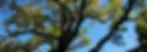 aaa.webp
