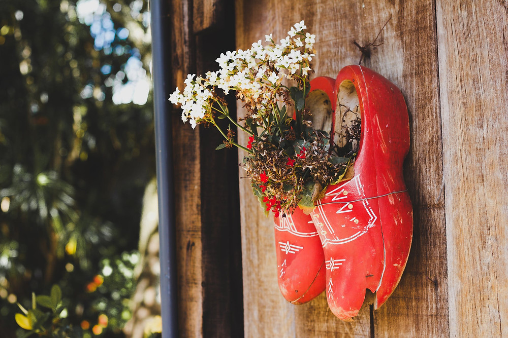 shoes hanging up with white flowers in them