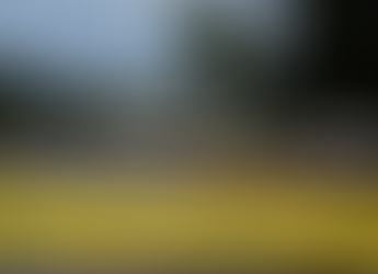 Tiroteio em Highland Park: polícia vasculha presença online de suposto agressor