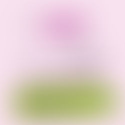 Not broken, just human - self compassion and anxiety 