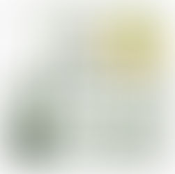 MULHERES ENCAPETADAS, UM PROCESSO HISTÓRICO DE AGRESSÃO