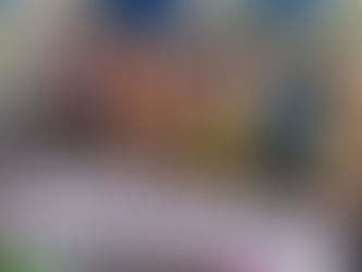 RESISTÊNCIA E ANCESTRALIDADE: OS DEZ ANOS DA FEIRA DA ROÇA