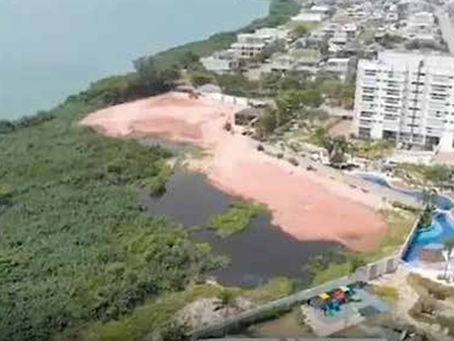 PROCURADORIA GERAL DO ESTADO DO RIO DE JANEIRO RECONHECE QUE CONSTRUTORA INVADIU ÁREA PRESERVADA DA LAGOA DE JACAREPAGUÁ