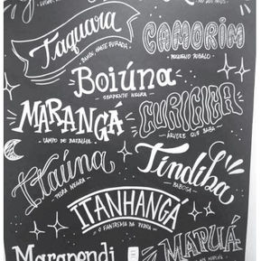 ARTE E CULTURA EM JACAREPAGUÁ
