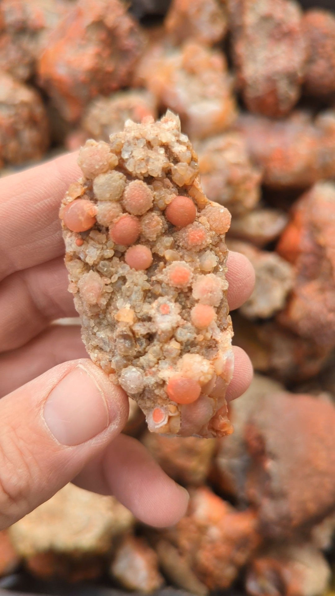 Grape Bubble Agate - 1 pound lots