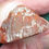 Thumbnail: Extreme Red - Yellow Cat Petrified Wood  - .6 oz