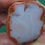 Thumbnail: Yellow Cat Petrified Wood  -  1 oz.
