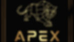 logo (2)_edited.jpg