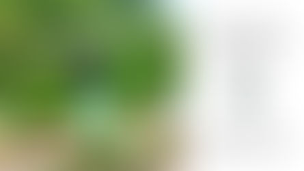 采茶はリアルオーガニック・ナチュラル®︎コスメの認定を取得しました
