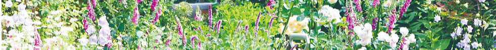 UK_garden_edited.jpg