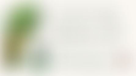 【連載】Tea Seed Beauty Method Vo.1