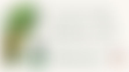 【連載】Tea Seed Beauty Method Vo.3