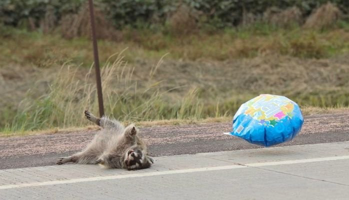 Get Well Soon