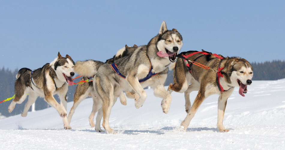 teamwork