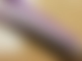 Beiersdorf Officially Announced to Acquired Chantecaille