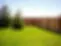 Wooden fencing.webp