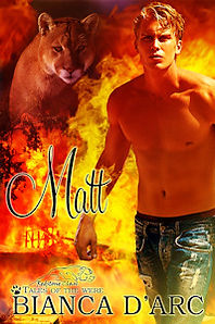 Matt cover