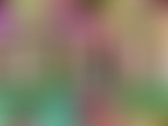 Newsletter?