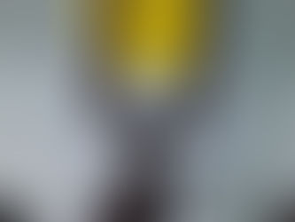 Professora de Português - Rara e Arthur 