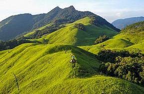 Bidoup-Ta-giang-mua-mua (1).jpeg