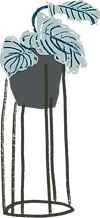 Plant  