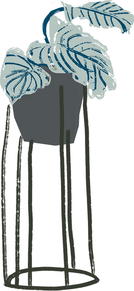 Plant
