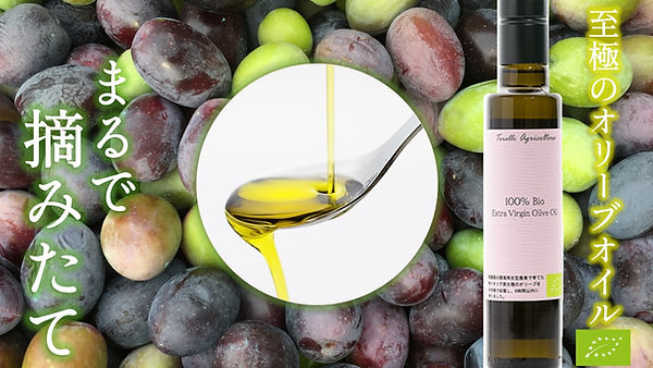 女性におすすめオリーブオイルギフト高級高品質