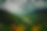 hans-luiggi-uvQmacxnfcE-unsplash (1)_edited_edited.jpg