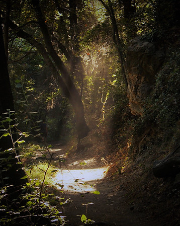 Spotlight_edited.jpg