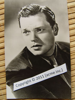 http://www.acme-inc.co.uk/websitepix/DSC050205.JPG