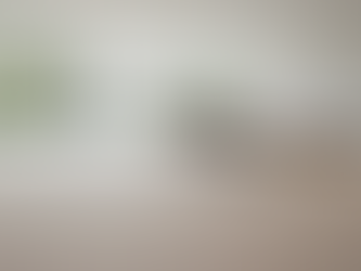 Refinishing Services in Orange County: Elevate Your Hardwood Floors