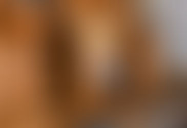 Orgel gefeiert und gesegnet