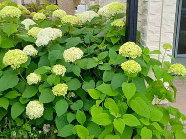 ささやかな幸せ♡