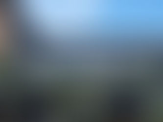 初めてを満喫♪