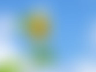 夏野菜でむくみ解消。