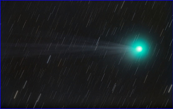 Lovejoy stampa.jpg