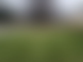 How to Strengthen Your Lawn Before Peak Growing Season in Topeka, KS