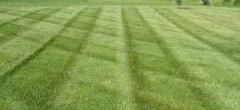 🌿 Expert Lawn Mowing in Topeka, KS – Book Your Service Today!🌿