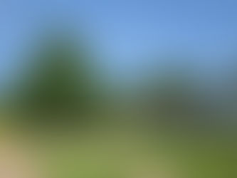 Top-Rated Lawn Mowing Service Near You – Lawn Care Topeka Has You Covered!