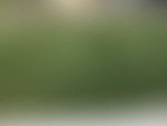 The Best Lawn Mowing Services in Shawnee County, Kansas