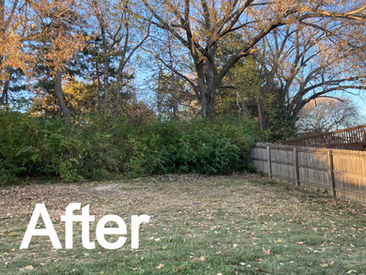 Tree Service Topeka Ks