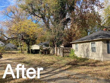 Over Growth Removal Topeka Ks