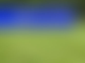 Why Lawn Care Topeka Is the Best Lawn Service in Topeka, KS