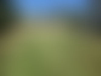 How a Well-Mowed Lawn Can Improve Your Home’s Curb Appeal